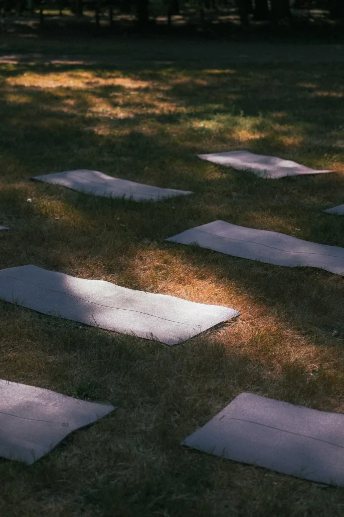 Yogamatjes in het zonnige gras, klaar voor een sessie tijdens IMPACT [Camp]