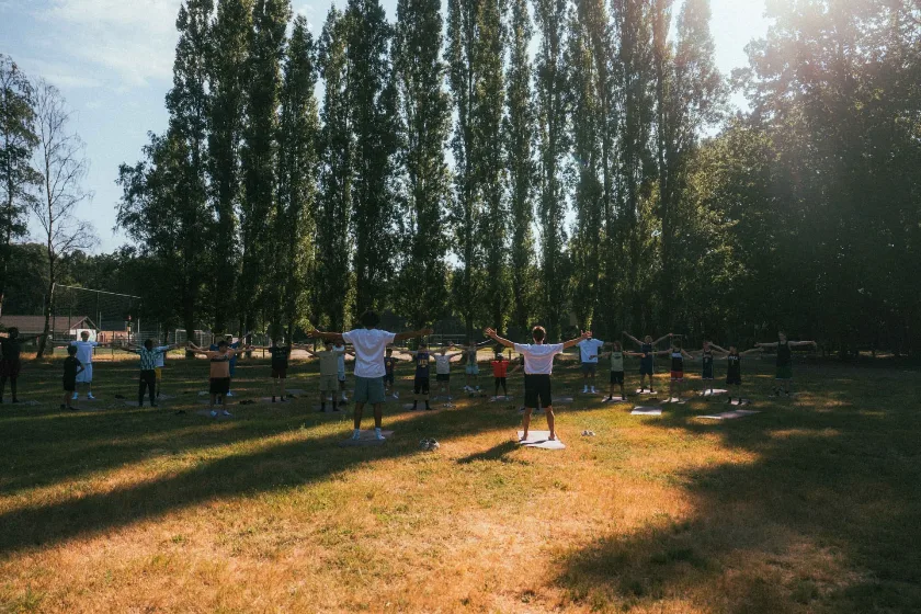 Zonnig grasveld tussen de bomen op de locatie van IMPACT [Camp]